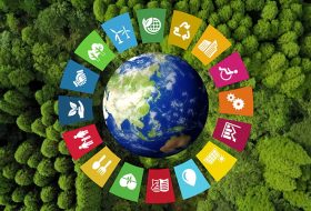 Metas de sustentabilidade nos recursos humanos: como incorporar a sustentabilidade em todas as funções